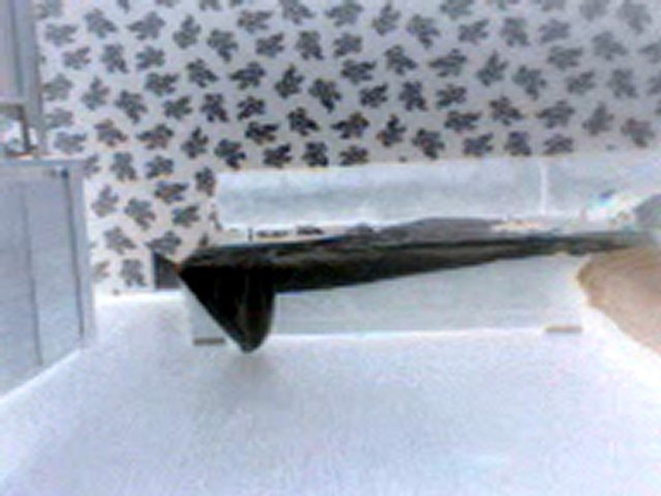 jumpstyle fanateck 0