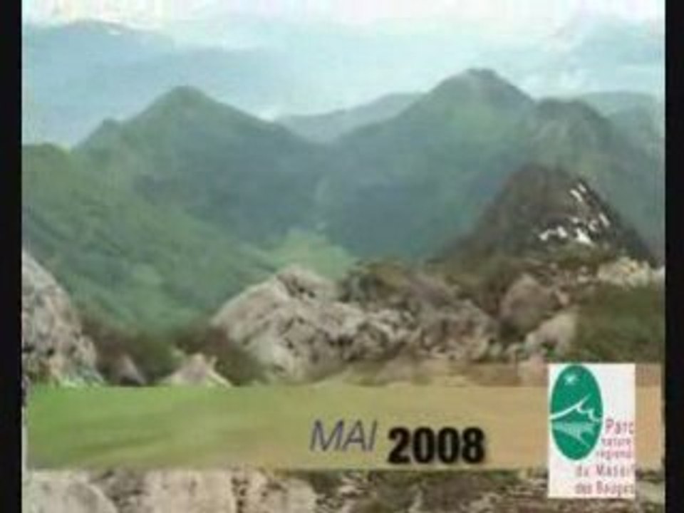 Challenge des Trails 2008 du parc naturel régional du Massif