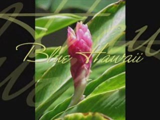 Blue Hawaii (Jardin)
