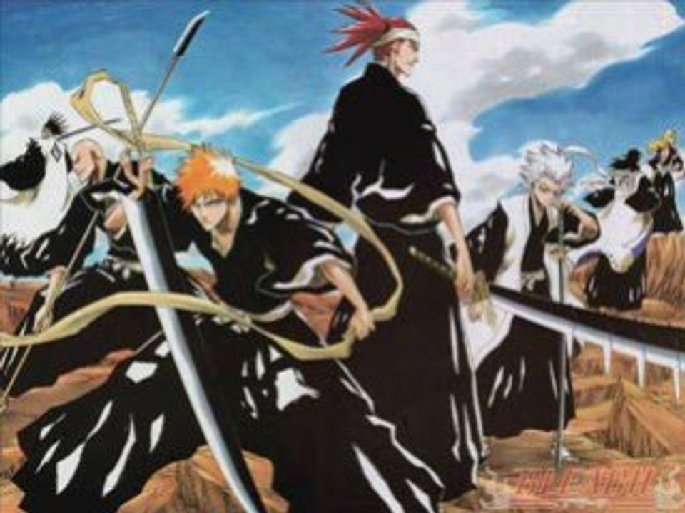 Bleach, les shinigamis