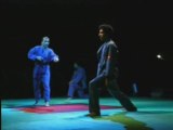 Vovinam au salon des arts martiaux 2006 à Genève