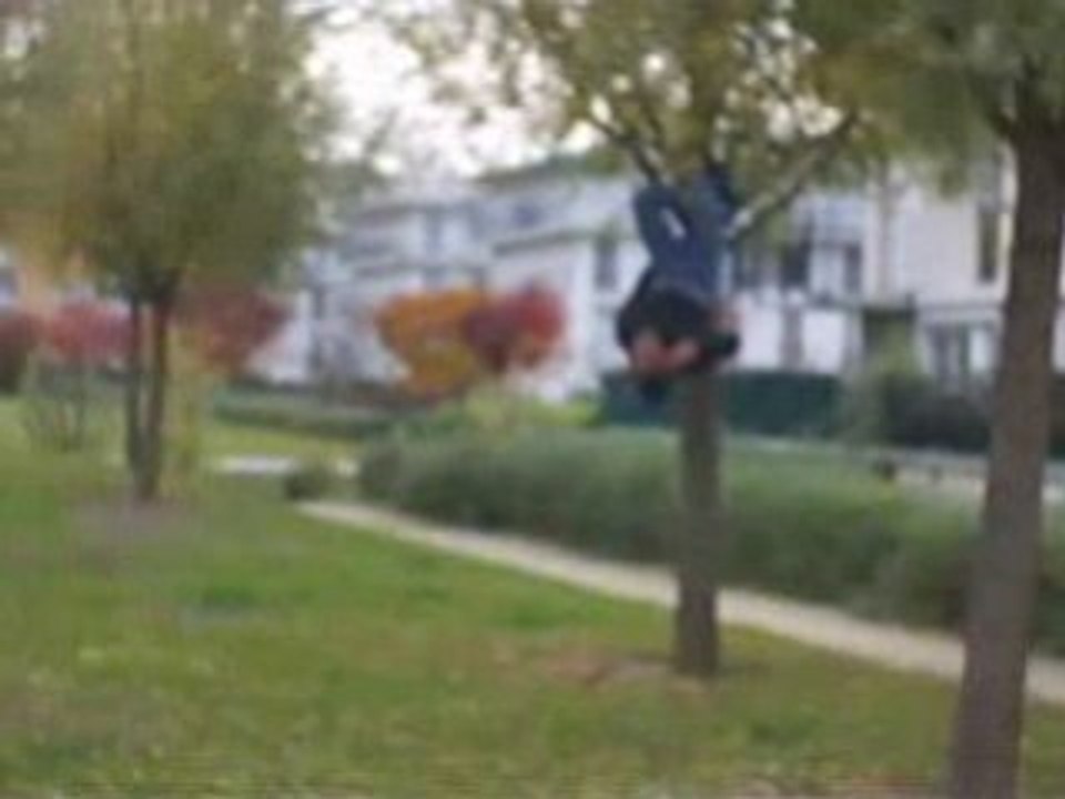 je me teleporte dans les arbres