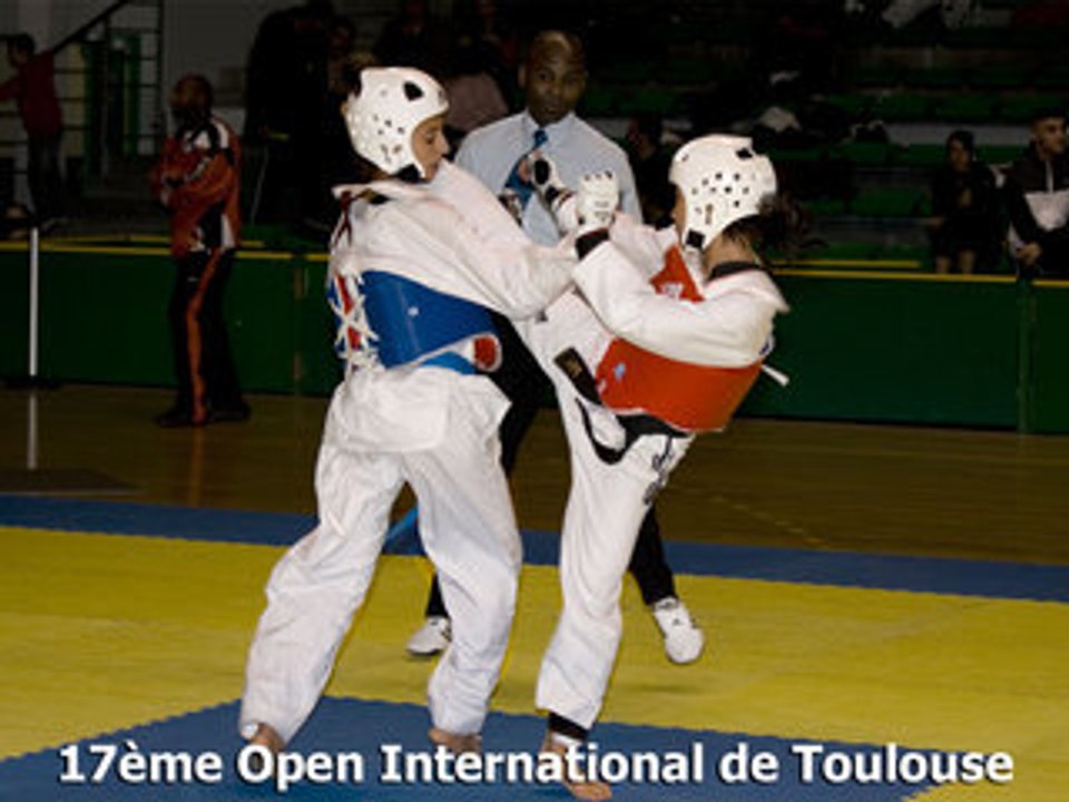 Open International de Toulouse 2008 - Taekwondo