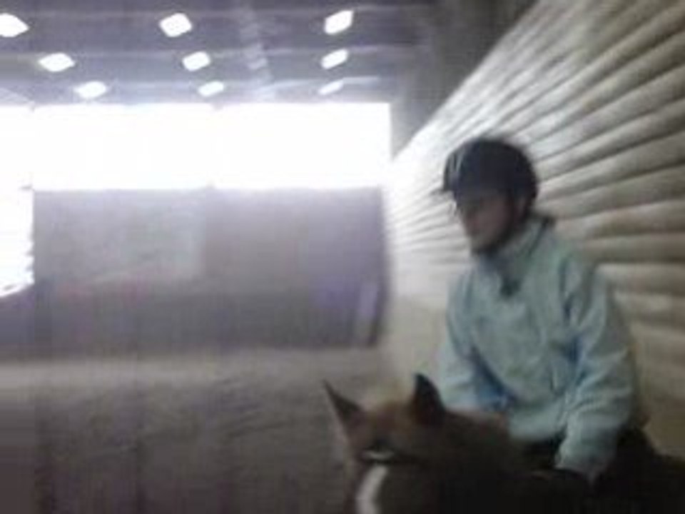 Au trot