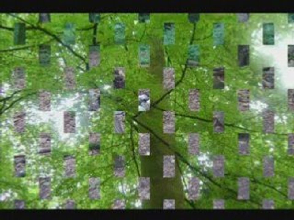 Tryo-l'hymne de nos campagnes