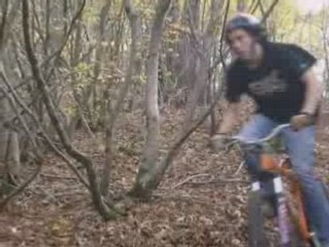 descente bois vtt
