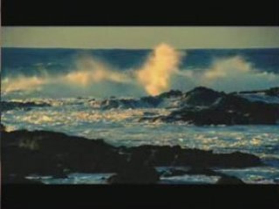 Hawaiian Lomilomi