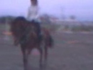 Psou et moi en dressage