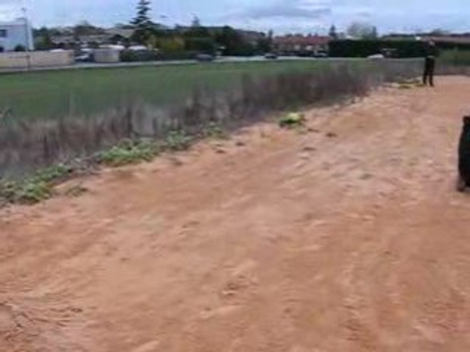 Big Jump mugen MBX5T nova n21b jp à Plaisir (1)