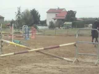 Olten cheval