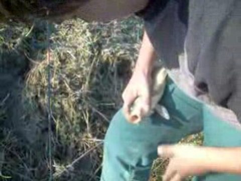 peche a la carpe (moi est mik)