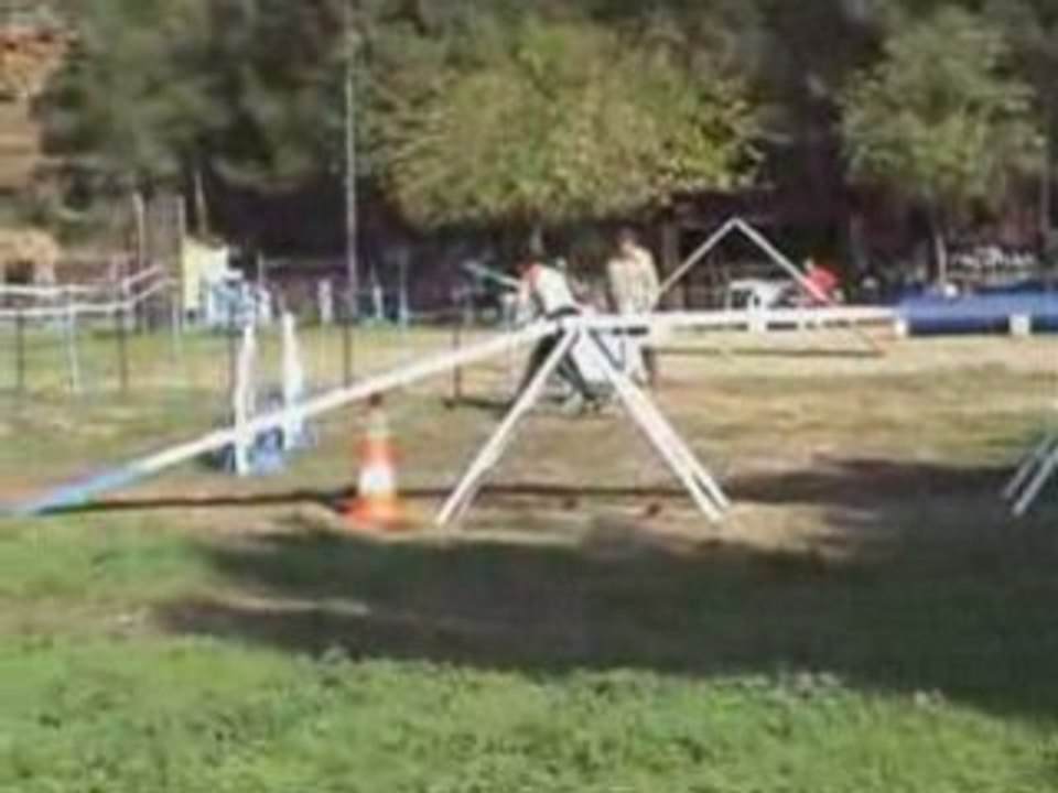 Aster-1erDegre-la valette -26-10-08