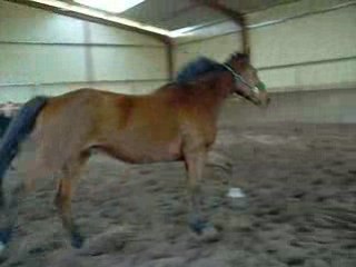 , rimski , oracle et moi 044