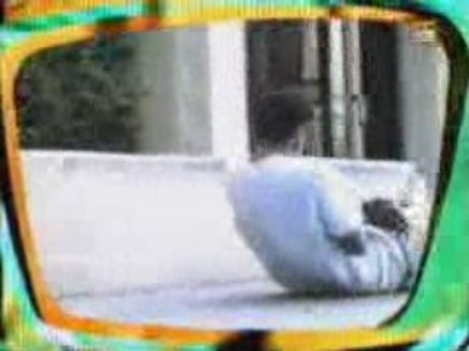 Skateboarding -- Bails -- Not Funny -- 5-0