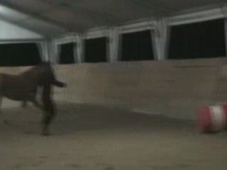 MOV008