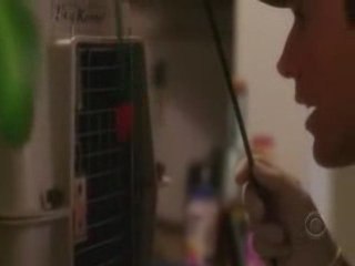 Extrait La Taupe 4 Tony et le chat 2eme round