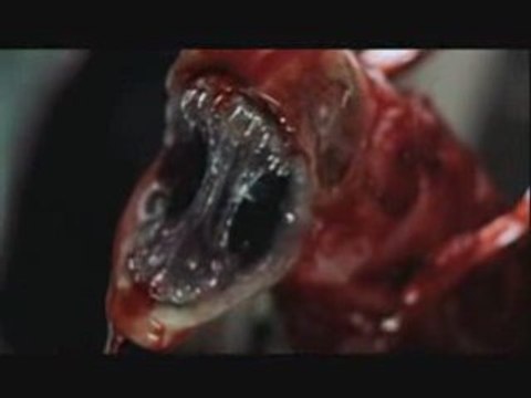 SPOT TV 3 ALIEN RESURRECTION STEFGAMERS