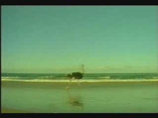 Final Fantasy IV - Pub