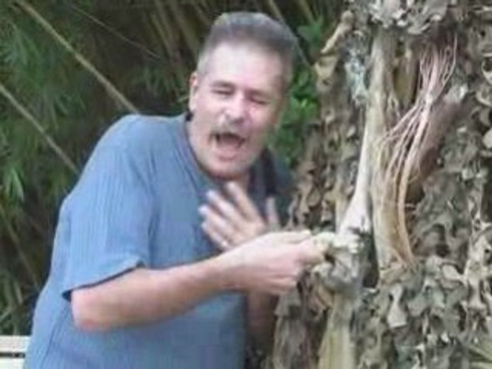 CRAZY VIDEO