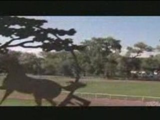 Wildfire saison3 épisode11..La famille avant tout..1sur4