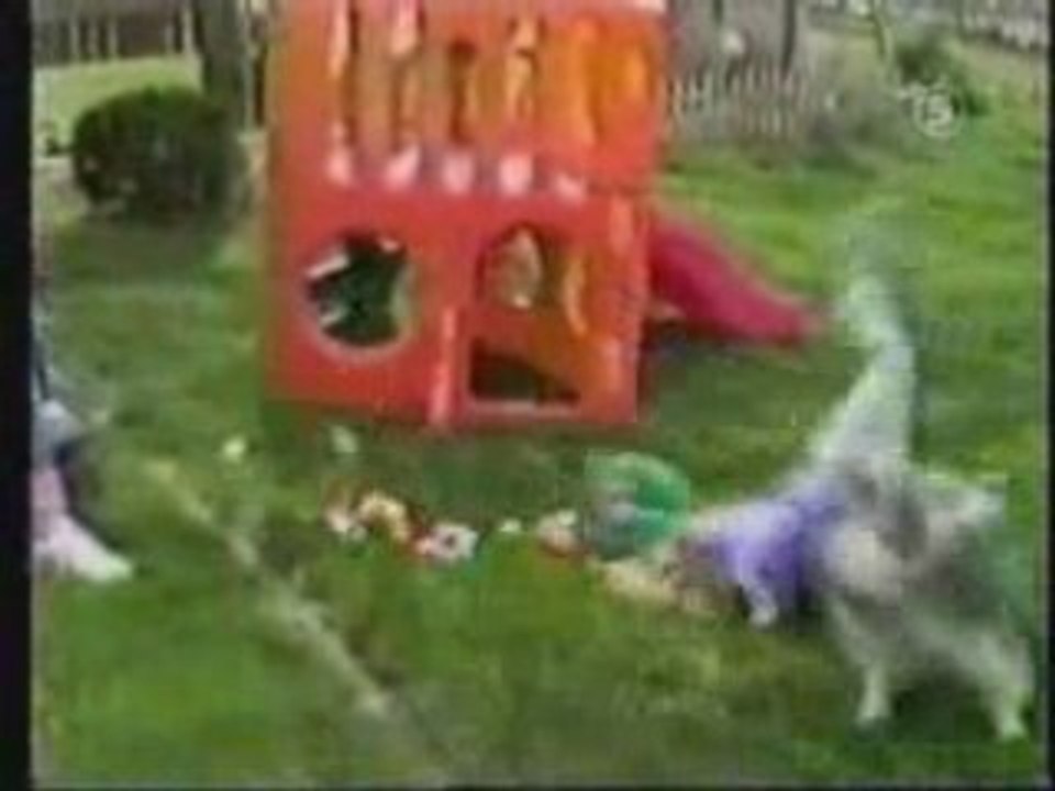 Nos amis les chiens, best of
