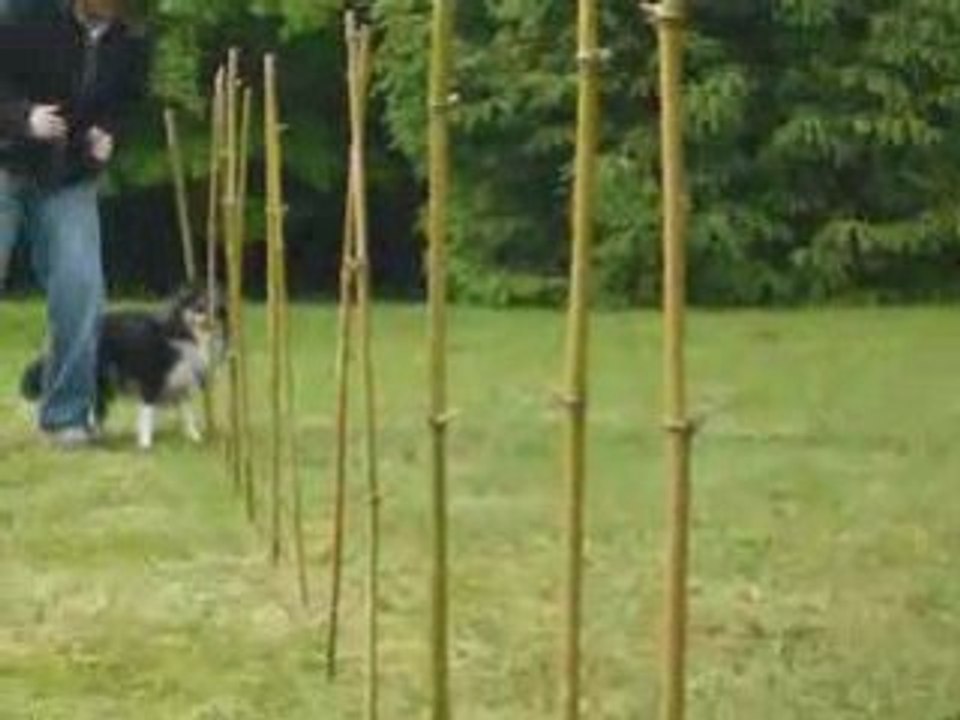 Two princes agility