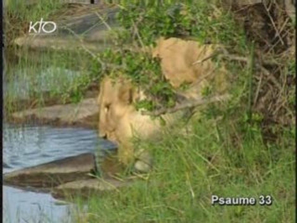 Psaume 33