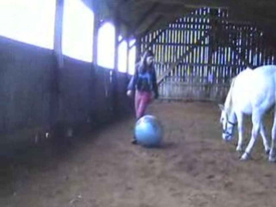 Montage Jock 4