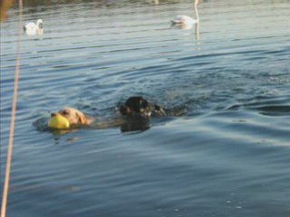 Dracken & charly 03.11.08