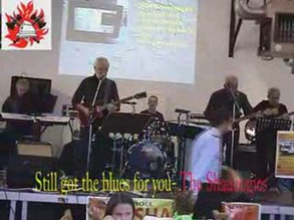 STILL GOT THE BLUES FOR YOU - THE SHADOOGIES -(GARY MOORE)