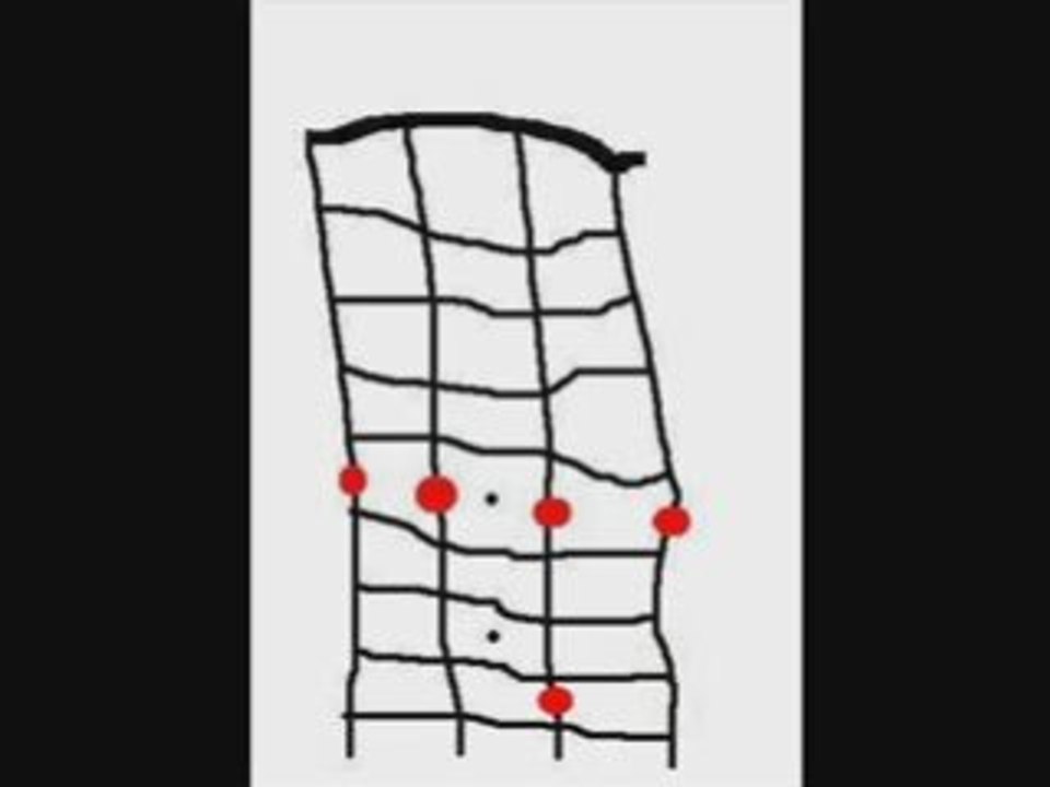 Dionysos - la métamorphose de Mr Chat - Accords Ukulele