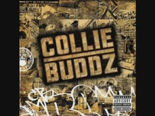 Collie buddz come around remix Chris Mas - Ambiance jamaique