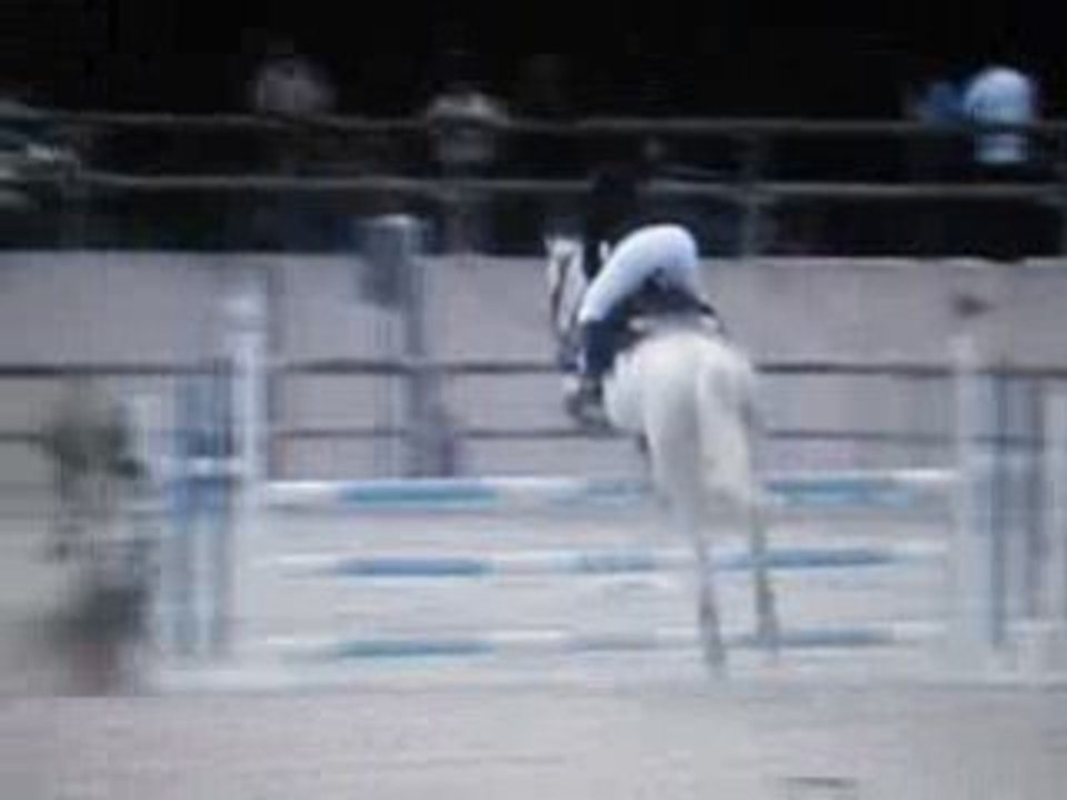 Lamotte 2008 CSO club1 2ème jour