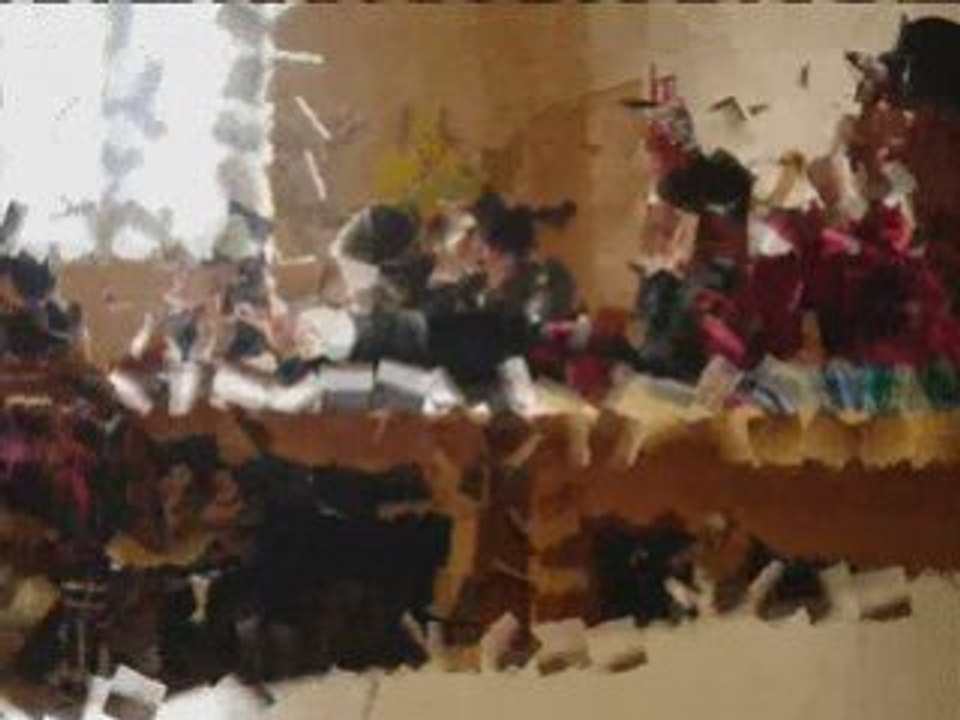 Bafa_0001