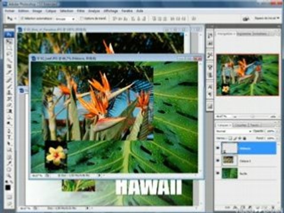 Adobe Photoshop CS3 Tutorial