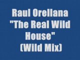 Raul Orellana - The Real Wild House (maxi version)
