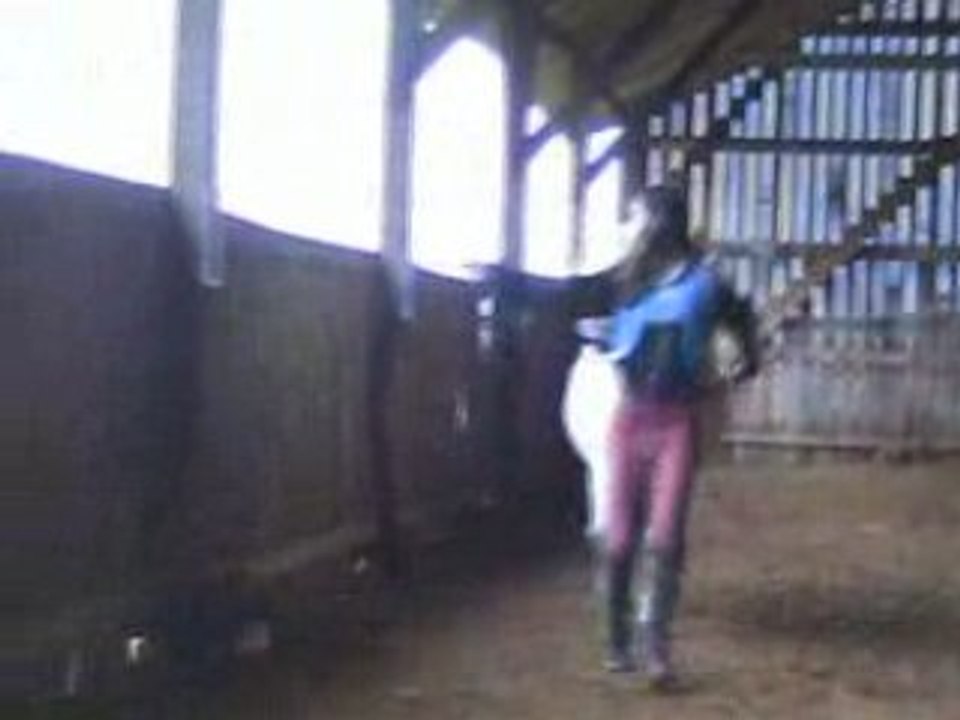Montage Jock 5