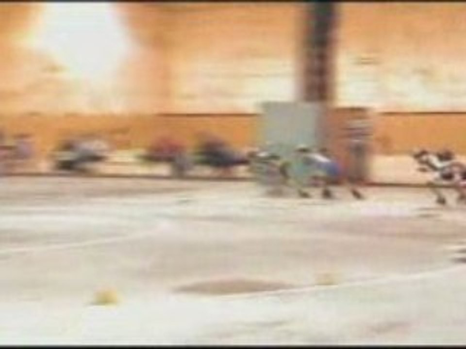 course de poussins à Bergerac le 05/10/2008