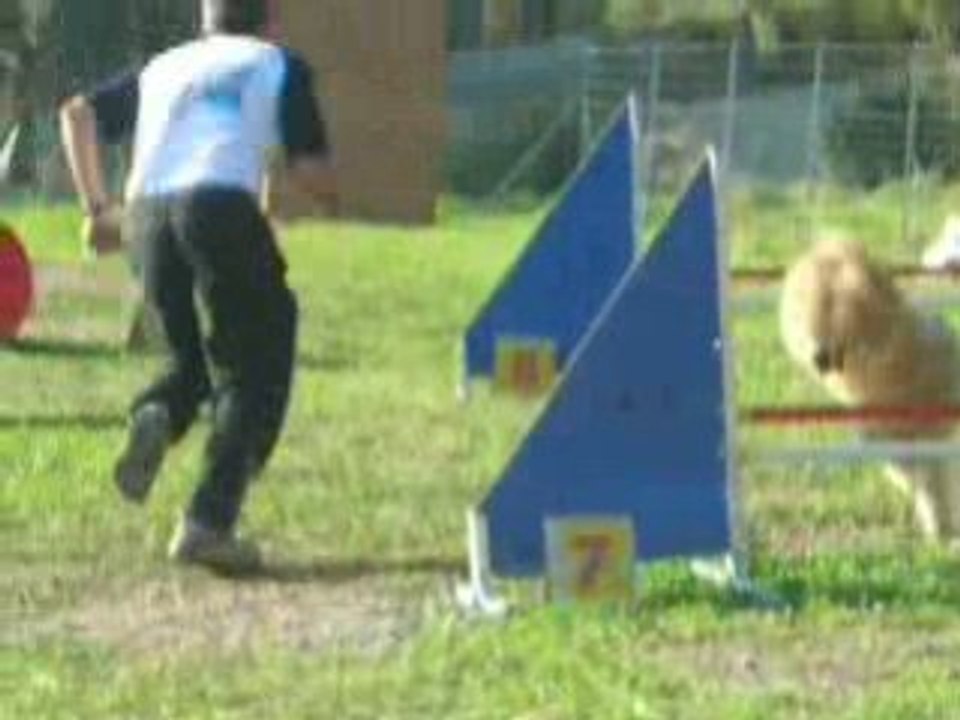 agility du 26/10/2008