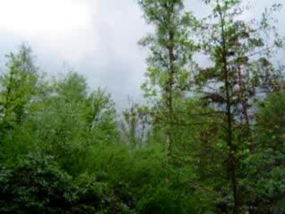 MOV07327