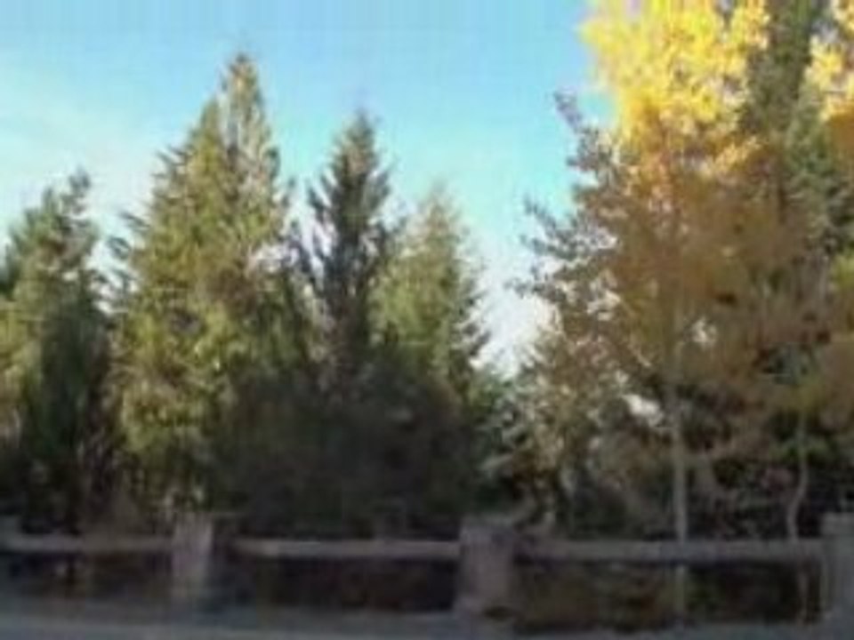 [Whistler real estate] Must See! Sunridge Properties Tour