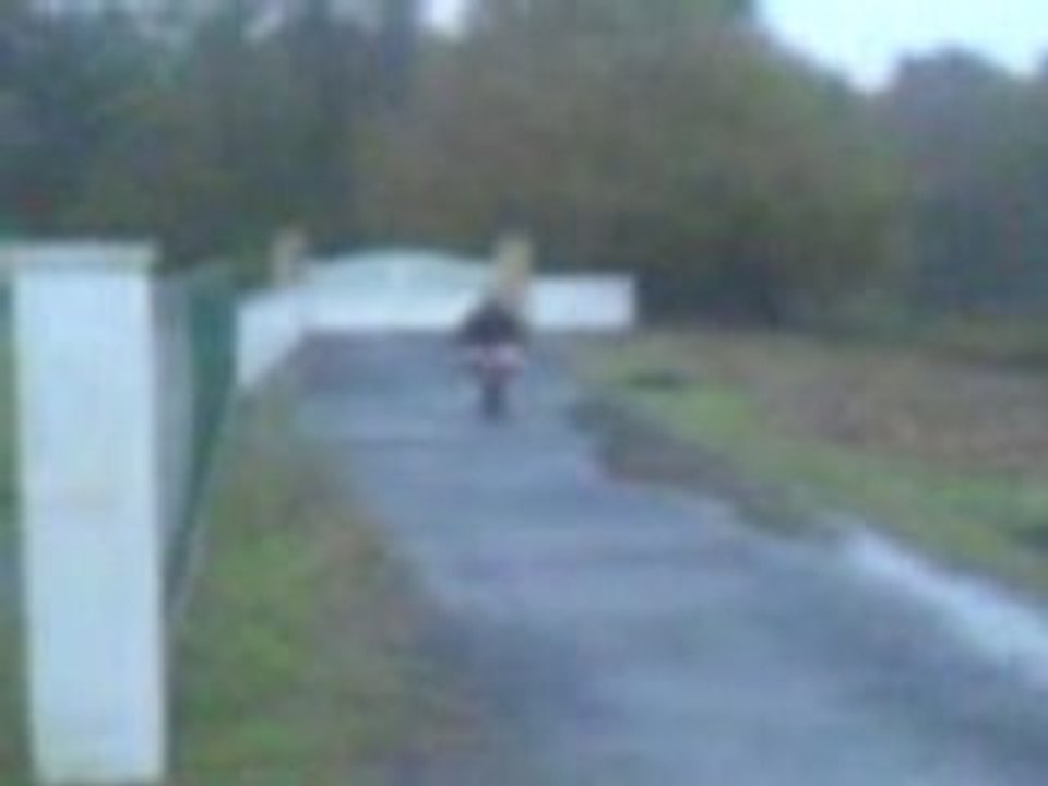 MOV00006