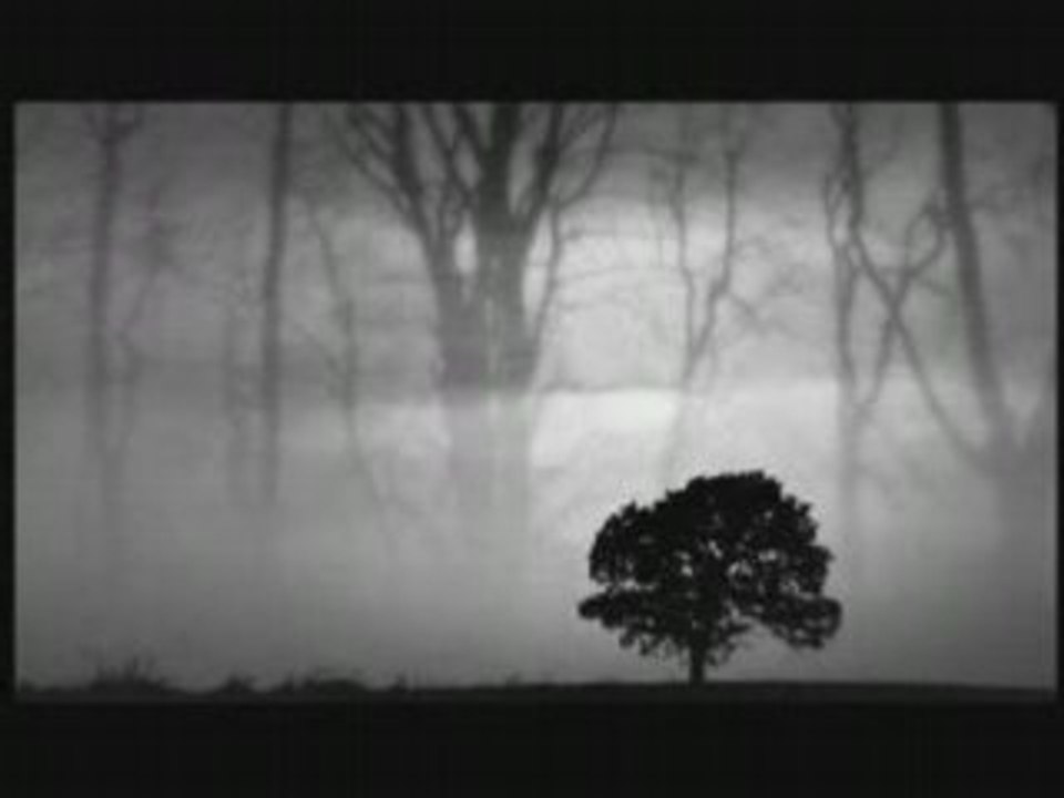 Yaşadıklarımdan Öğrendiğim Birşey Var