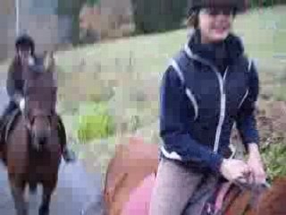 Chevaux Jeannot 8 010