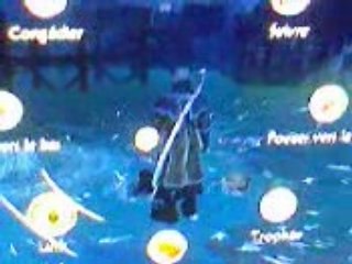 Fable et ses bugs ...