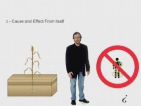 Свобода выбора