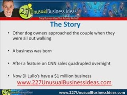 Goggles For Dogs Another Wacky Business Idea