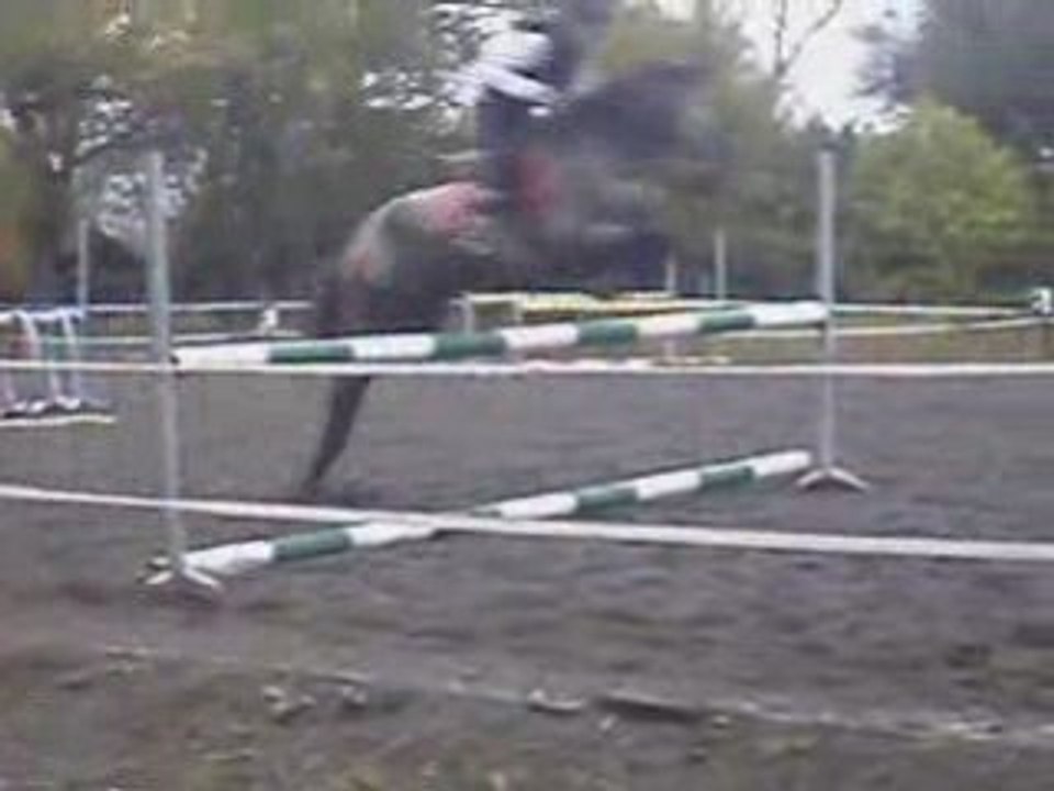 J'nu galop 6