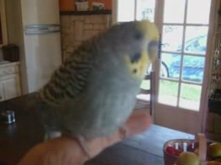 mon petit ange