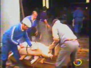 Tiempo de Matanza  (Villayón ) TVO